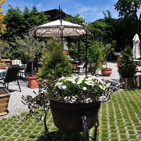 Отель Hotel Central