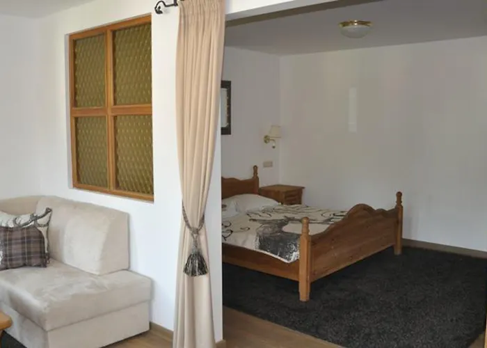 Hotel Central Hotel 4*